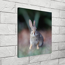 Холст квадратный Малыш кролик, цвет: 3D-принт — фото 2