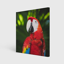 Картина квадратная Красный попугай Ара