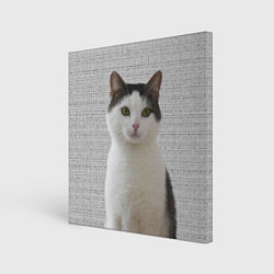 Картина квадратная Задумчивый котик