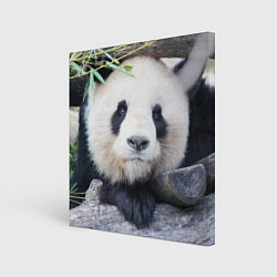 Холст квадратный Панда отдыхает, цвет: 3D-принт