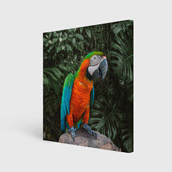 Холст квадратный Попугай Макао, цвет: 3D-принт
