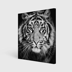 Картина квадратная Красавец тигр