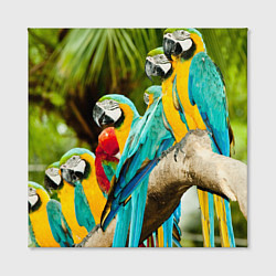Холст квадратный Попугаи на ветке, цвет: 3D-принт — фото 2