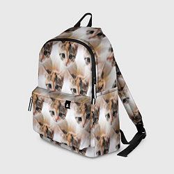 Рюкзак Маленький котенок паттерн, цвет: 3D-принт