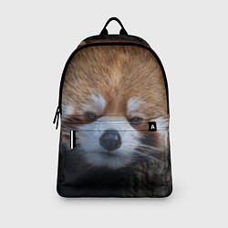 Рюкзак Крaсная панда, цвет: 3D-принт — фото 2