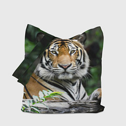 Сумка-шопер Тигр в джунглях цвета 3D-принт — фото 1