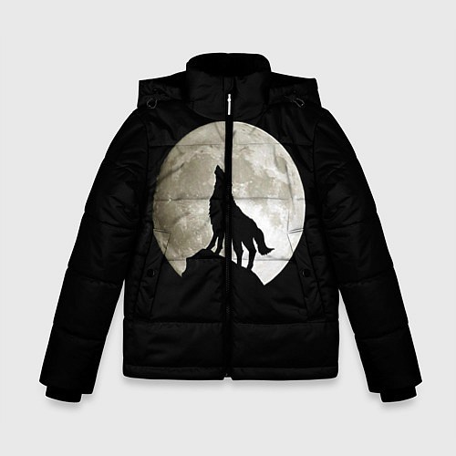 Зимняя куртка для мальчика Moon Wolf / 3D-Черный – фото 1