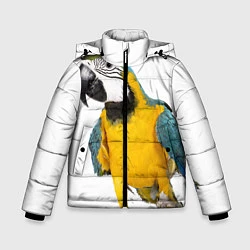 Куртка зимняя для мальчика Попугай ара, цвет: 3D-красный