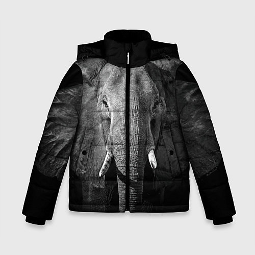 Зимняя куртка для мальчика Взгляд слона / 3D-Черный – фото 1