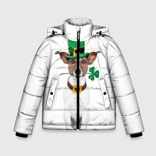 Зимняя куртка для мальчика Ирландия / 3D-Черный – фото 1