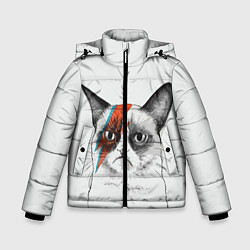 Куртка зимняя для мальчика David Bowie: Grumpy cat, цвет: 3D-черный