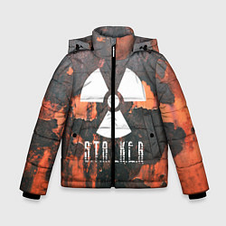Куртка зимняя для мальчика S.T.A.L.K.E.R: Orange Toxic, цвет: 3D-светло-серый