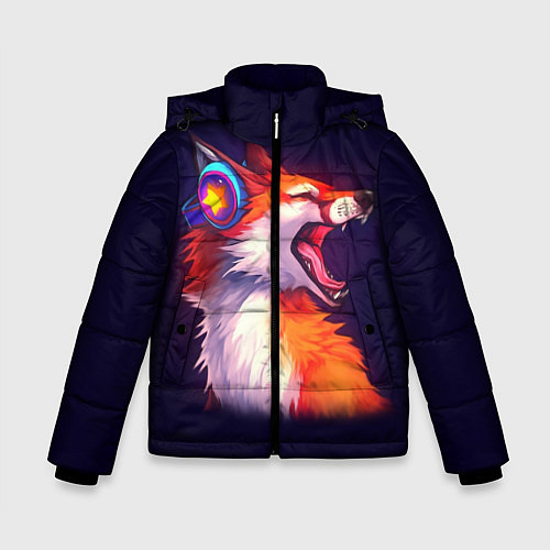Зимняя куртка для мальчика Disco Fox / 3D-Черный – фото 1