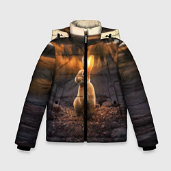 Куртка зимняя для мальчика Солнечный зайчик, цвет: 3D-красный