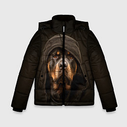 Куртка зимняя для мальчика Ротвейлер в капюшоне, цвет: 3D-черный