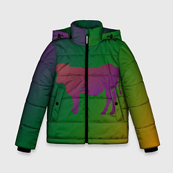 Куртка зимняя для мальчика Короватрехцветный градиент, цвет: 3D-черный