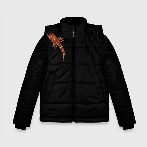 Зимняя куртка для мальчика Ручной геккон / 3D-Черный – фото 1