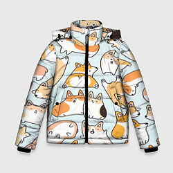 Куртка зимняя для мальчика Корги, цвет: 3D-светло-серый