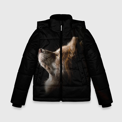 Зимняя куртка для мальчика Пес / 3D-Черный – фото 1