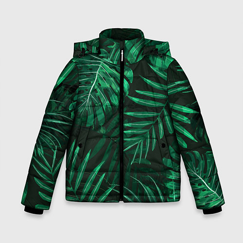 Зимняя куртка для мальчика Я из джунглей / 3D-Черный – фото 1