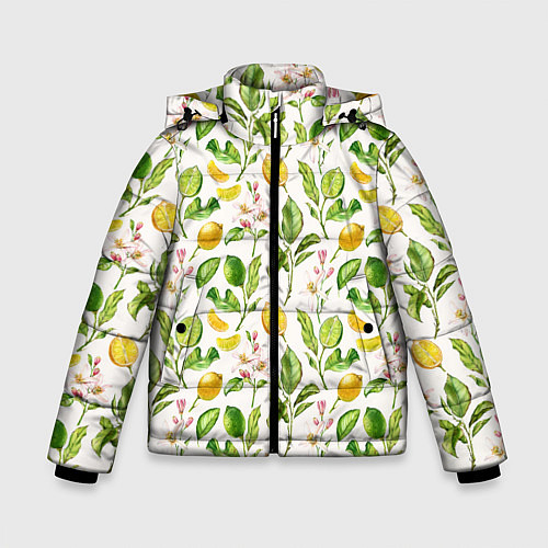 Зимняя куртка для мальчика Летний узор лимон ветки листья / 3D-Черный – фото 1