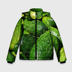 Куртка зимняя для мальчика Огурцы, цвет: 3D-черный