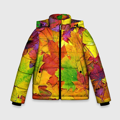 Зимняя куртка для мальчика Осенние листья / 3D-Черный – фото 1