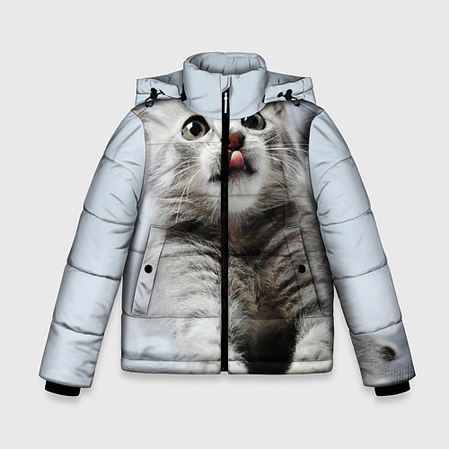 Зимняя куртка для мальчика Серый котенок / 3D-Черный – фото 1