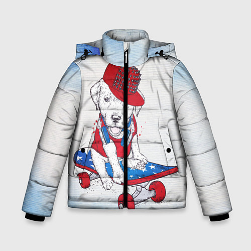Зимняя куртка для мальчика Догистайл / 3D-Черный – фото 1