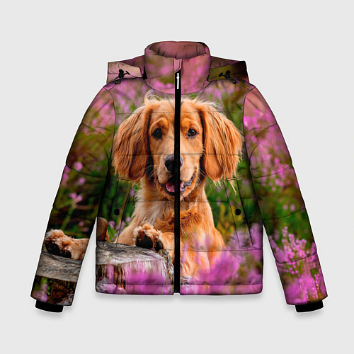 Зимняя куртка для мальчика Dog / 3D-Черный – фото 1