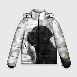Куртка зимняя для мальчика Лабрадор Марк, цвет: 3D-светло-серый