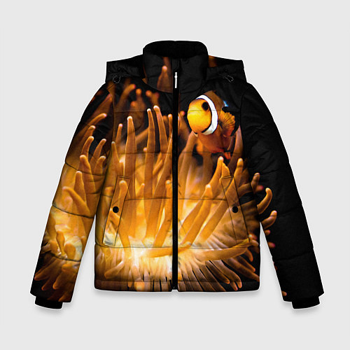 Зимняя куртка для мальчика Клоуны в актинии / 3D-Черный – фото 1