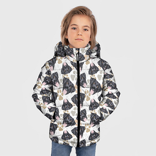 Зимняя куртка для мальчика Лабрадор чёрный / 3D-Светло-серый – фото 3