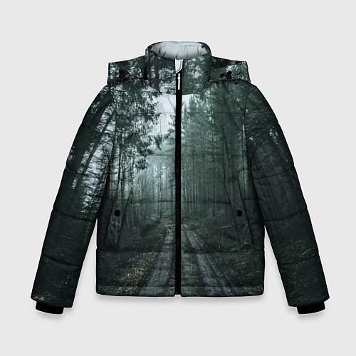 Зимняя куртка для мальчика Дорога в лес / 3D-Черный – фото 1