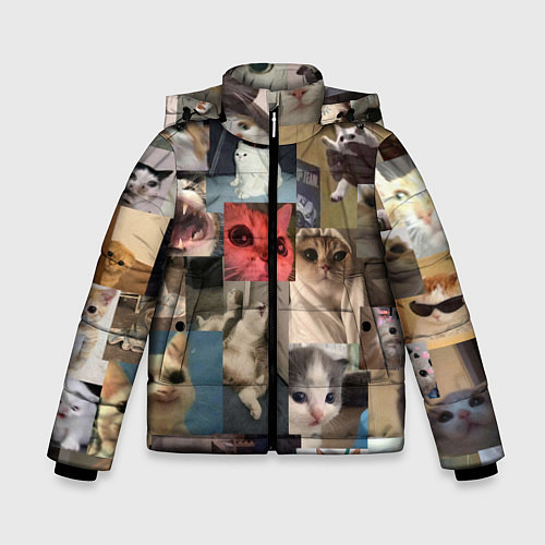 Зимняя куртка для мальчика Мемные котики / 3D-Черный – фото 1