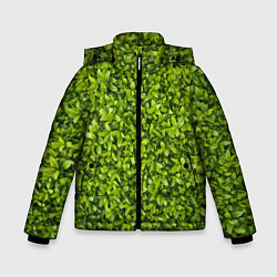 Куртка зимняя для мальчика Зеленая травка, цвет: 3D-красный