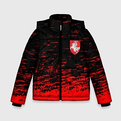 Куртка зимняя для мальчика Герб Белоруссии краски красные, цвет: 3D-светло-серый