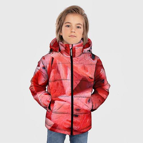 Зимняя куртка для мальчика Арбузные ломти / 3D-Красный – фото 3
