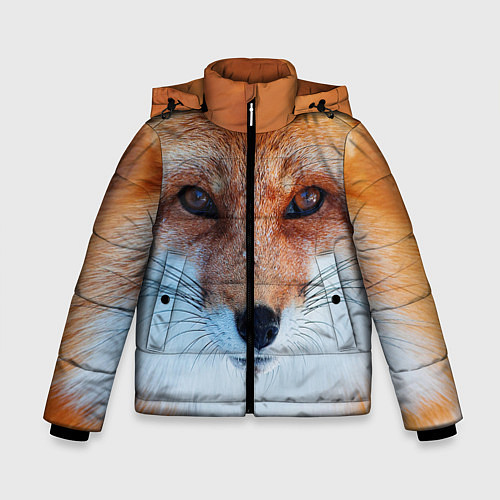 Зимняя куртка для мальчика Взгляд лисы / 3D-Черный – фото 1