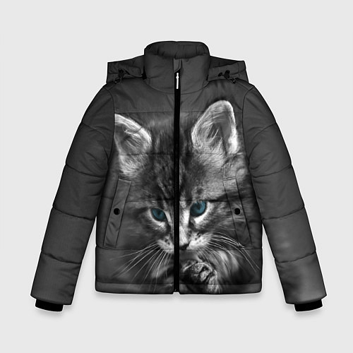 Зимняя куртка для мальчика Голубоглазый котенок / 3D-Черный – фото 1