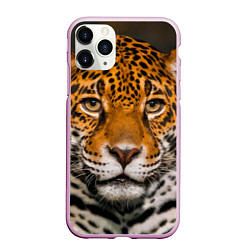 Чехол iPhone 11 Pro матовый Взгляд ягуара, цвет: 3D-розовый