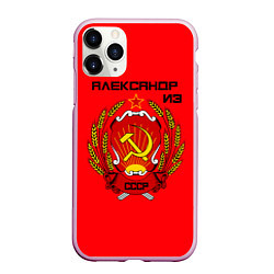 Чехол iPhone 11 Pro матовый Александр из СССР, цвет: 3D-розовый