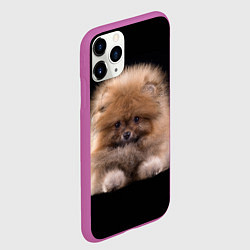 Чехол iPhone 11 Pro матовый Рыжий Шпиц, цвет: 3D-фиолетовый — фото 2