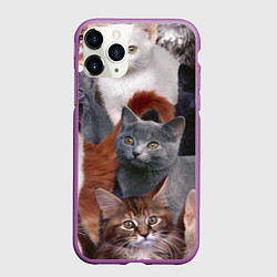 Чехол iPhone 11 Pro матовый КОТЯТКИ