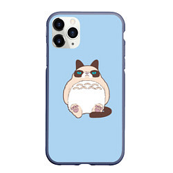 Чехол iPhone 11 Pro матовый Тоторный кот, цвет: 3D-серый