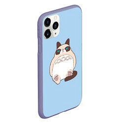 Чехол iPhone 11 Pro матовый Тоторный кот, цвет: 3D-серый — фото 2