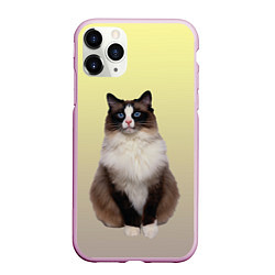 Чехол iPhone 11 Pro матовый Персидская пушистая кошка