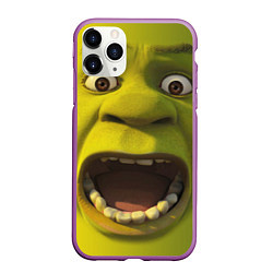 Чехол iPhone 11 Pro матовый Shrek is Yelling