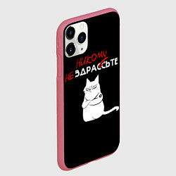 Чехол iPhone 11 Pro матовый Неприветливый кот, цвет: 3D-малиновый — фото 2