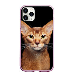 Чехол iPhone 11 Pro матовый Молодая абиссинская кошечка, цвет: 3D-розовый